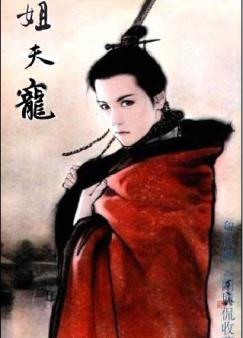 姐夫宠小说